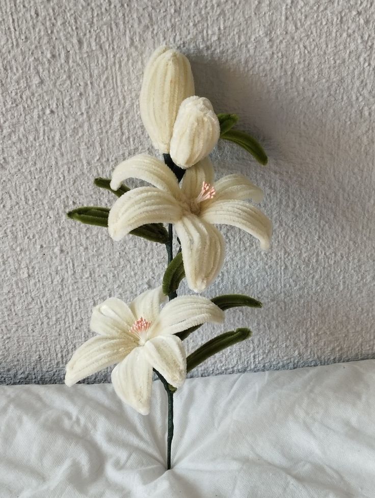 White Lily